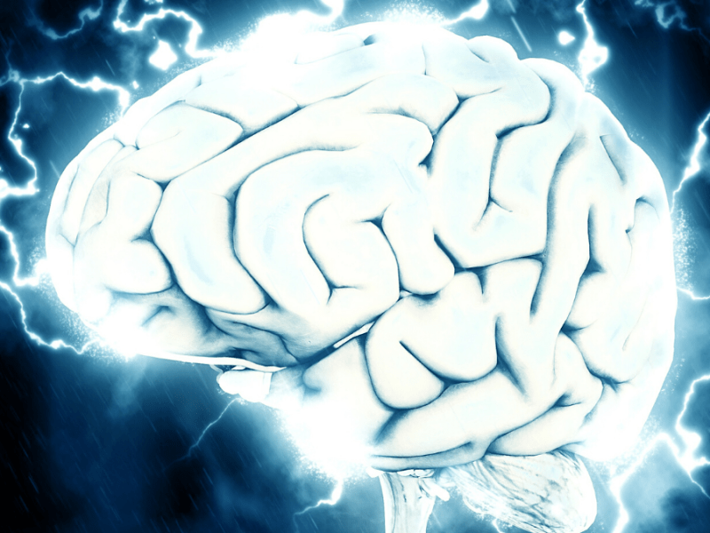 Is the brain a part of our&nbsp;body?